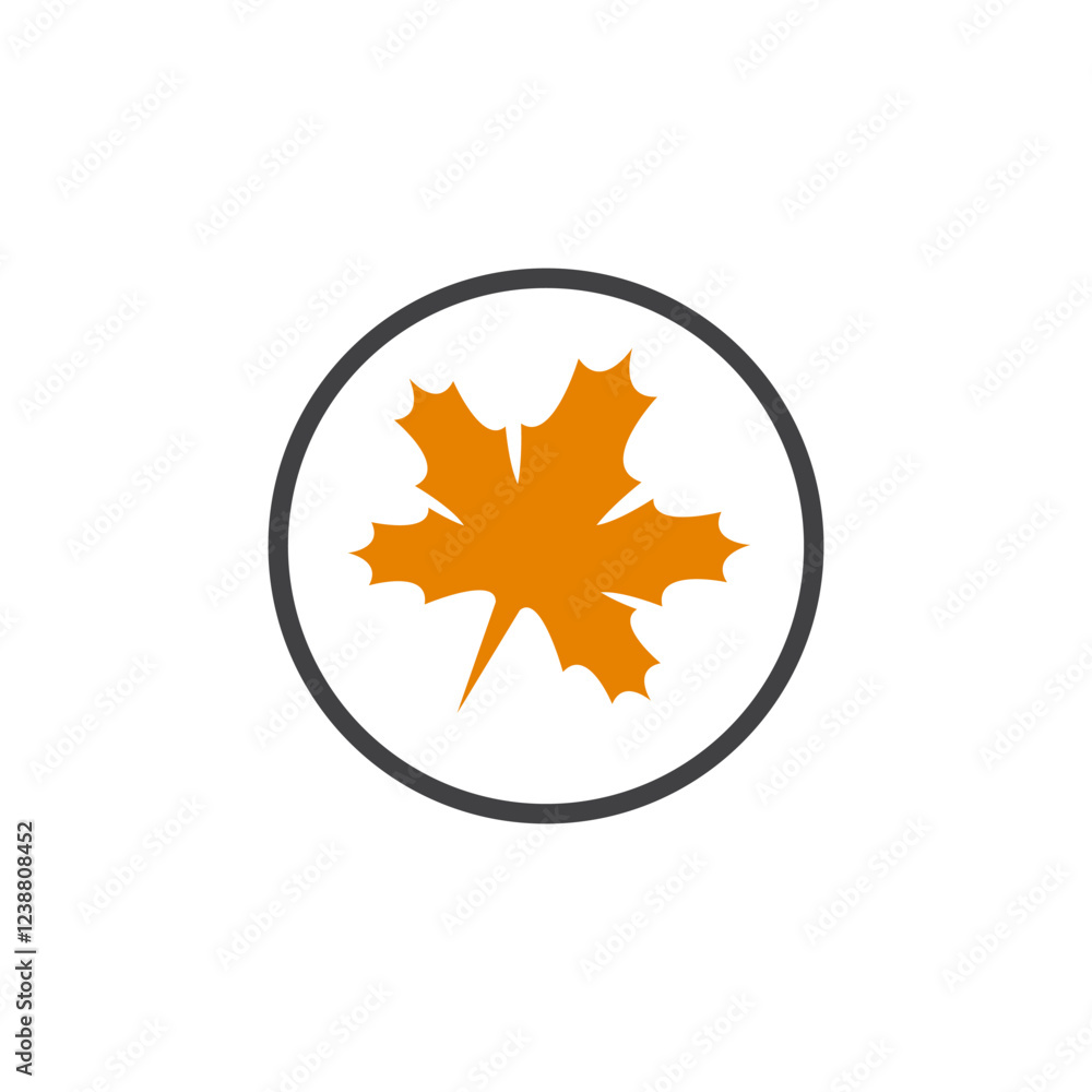 Obraz premium maple leaf in autumn