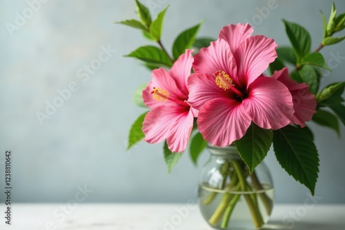 Wallpaper Mural Pink hibiscus flowers in a vase with fresh greenery, decorative, nature Torontodigital.ca