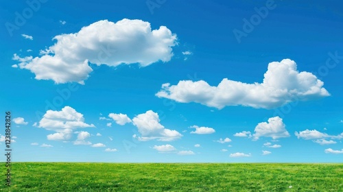 Fototapeta Naklejka Na Ścianę i Meble -  Blue sky with a few fluffy white clouds over a green field