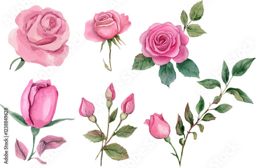 set of pink roses