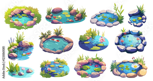 Cartoon ponds. Little garden lakes with grass water lily stones fish, nature landscape element vector illustration