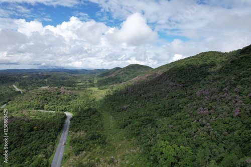 a imagem de uma estrada que corta a floresta tropical no interior do estado de São Paulo, Brasil, captada por um drone. photo