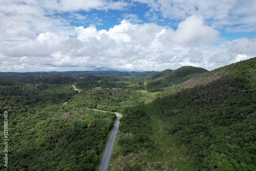 a imagem de uma estrada que corta a floresta tropical no interior do estado de São Paulo, Brasil, captada por um drone. photo