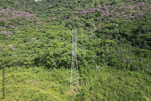 Uma torre de transmissão de energia em meio à mata atlântica, no vale do Ribeira, estado de São Paulo, Brasil, em imagem aérea obtida com drone. photo