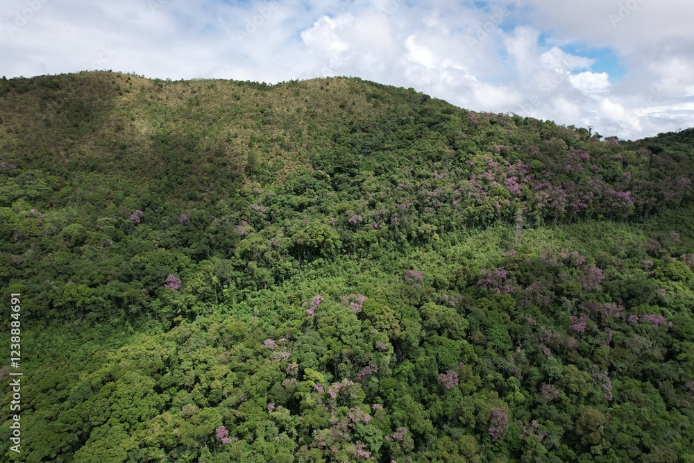 A imagem aérea obtida com drone da floresta tropical no vale do Ribeira, em São Paulo, Brasil. A imagem aérea obtida com drone da floresta tropical no vale do Ribeira, em São Paulo, Brasil.