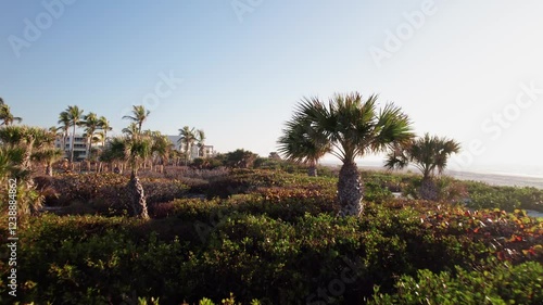 Wallpaper Mural Drone dolly move on Florida tropical palm tree trees in forested natural landscape along beachfront coastline and Ocean environment with sand, sun flares, leaves, and nearby waterfront under sunrise Torontodigital.ca