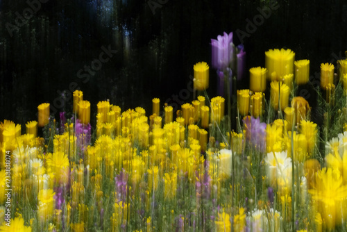 Wallpaper Mural spring flowers in a field intentional camera movement effect abstract nature motion blur Torontodigital.ca