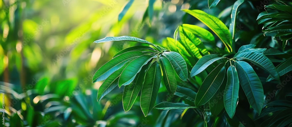 Obraz premium Lush Green Tropical Foliage with Sunlight Filtering Through Leaves