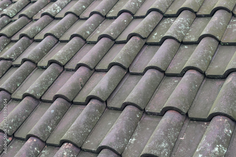 Clay tiles on the roof of a mossy house are neatly arranged, photo taken at eye level outdoors on a cloudy day Clay tiles on the roof of a mossy house are neatly arranged, photo taken at eye level outdoors on a cloudy day