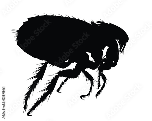 The silhouette of a large flea.
