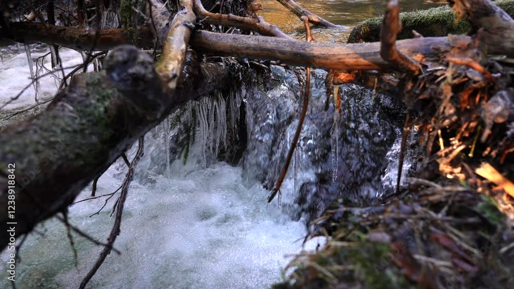 Water in river rushing through fallen tree branches with icicles on them - slow motion Water in river rushing through fallen tree branches with icicles on them - slow motion