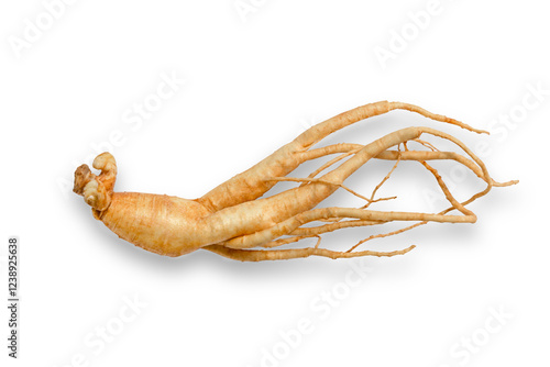 korean ginseng and ginseng root,Ginseng or Panax ginseng isolated on white background with clipping path