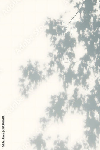 Abstract shadows of natural leaves on white wall.