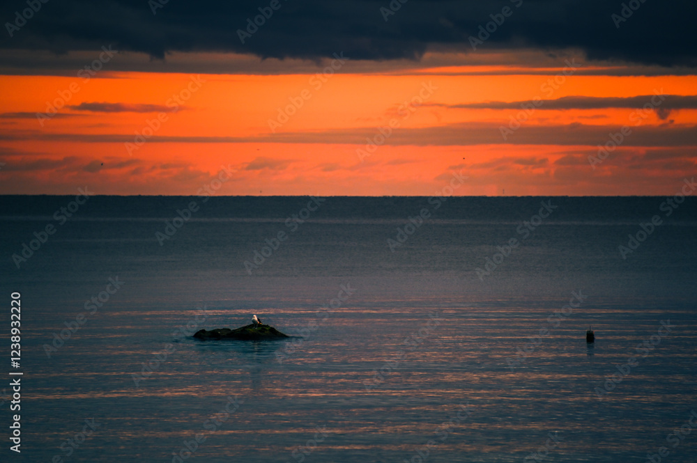 Naklejka premium Lone Seagull Resting on a Rock Amidst a Vibrant Ocean Sunset
