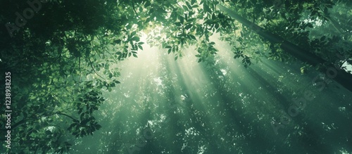 Sunlight Filtering Through Dense Green Forest Canopy with Soft Light Rays and Lush Foliage Copy Space photo