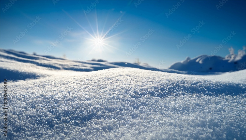 close upnof sheet of snow at sunny day close upnof sheet of snow at sunny day