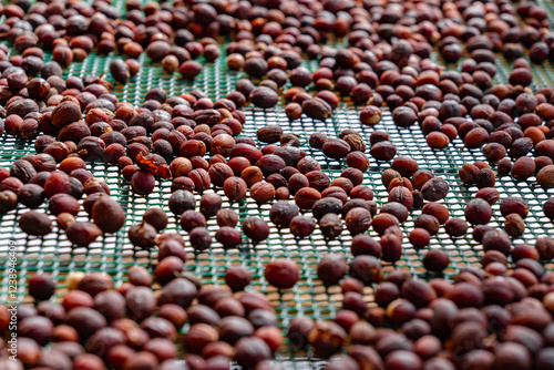 A close up of dried fruit on a tray