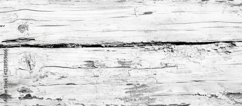 Wallpaper Mural White rustic wooden background with cracks and natural textures suitable for various design projects Copy Space Torontodigital.ca