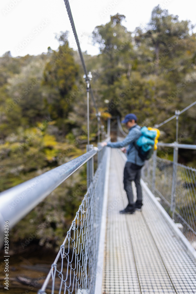 Fototapeta premium Hiker walking on swing bridge in lush forest of new zealand