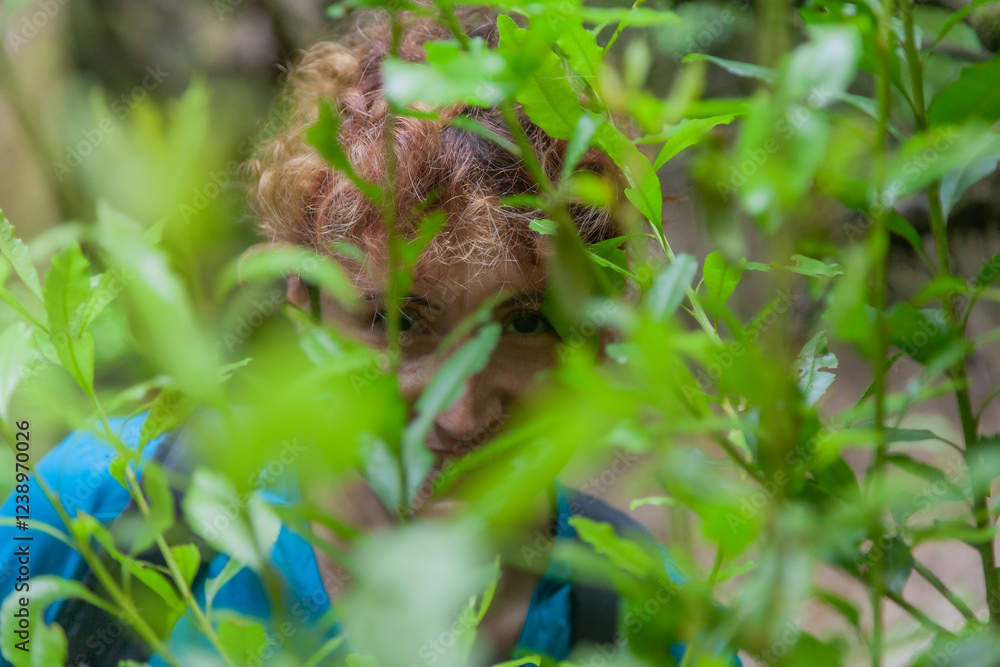Biologist observing nature hiding behind green foliage Biologist observing nature hiding behind green foliage