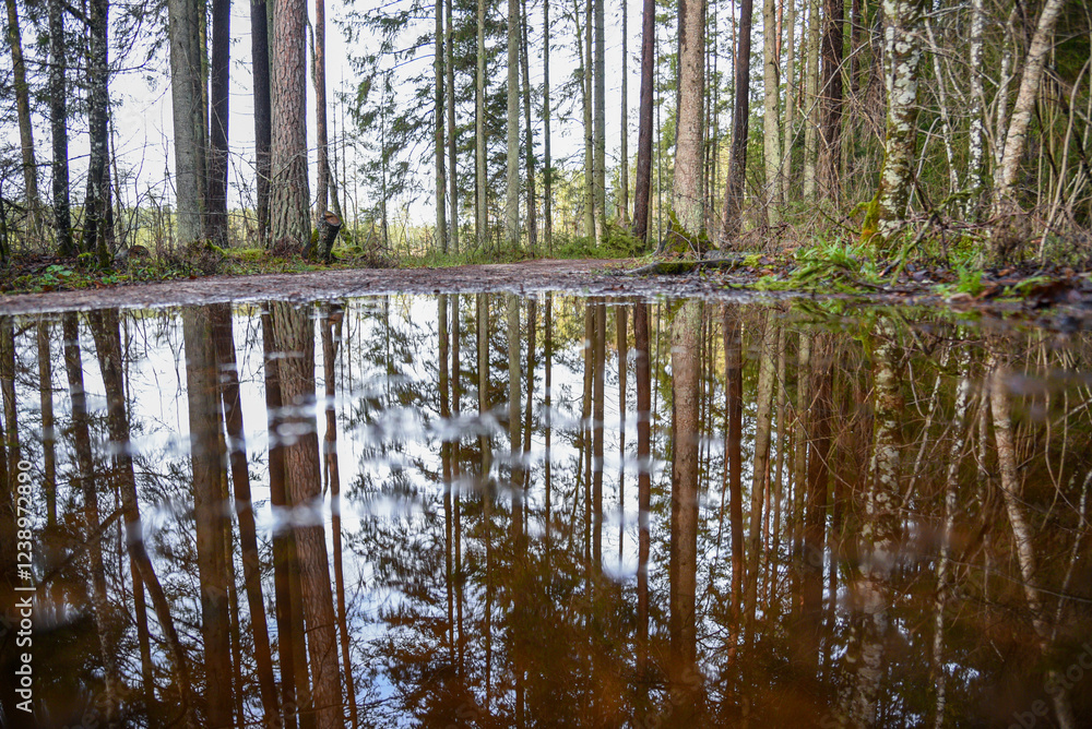 Obraz premium puddle of mud and dirty water in country