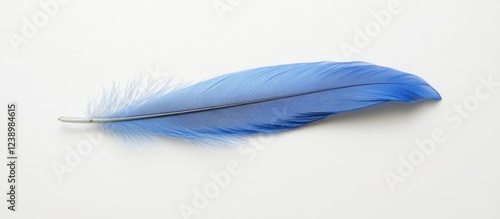 Blue bird feather isolated on white background with detailed texture and structure Copy Space photo