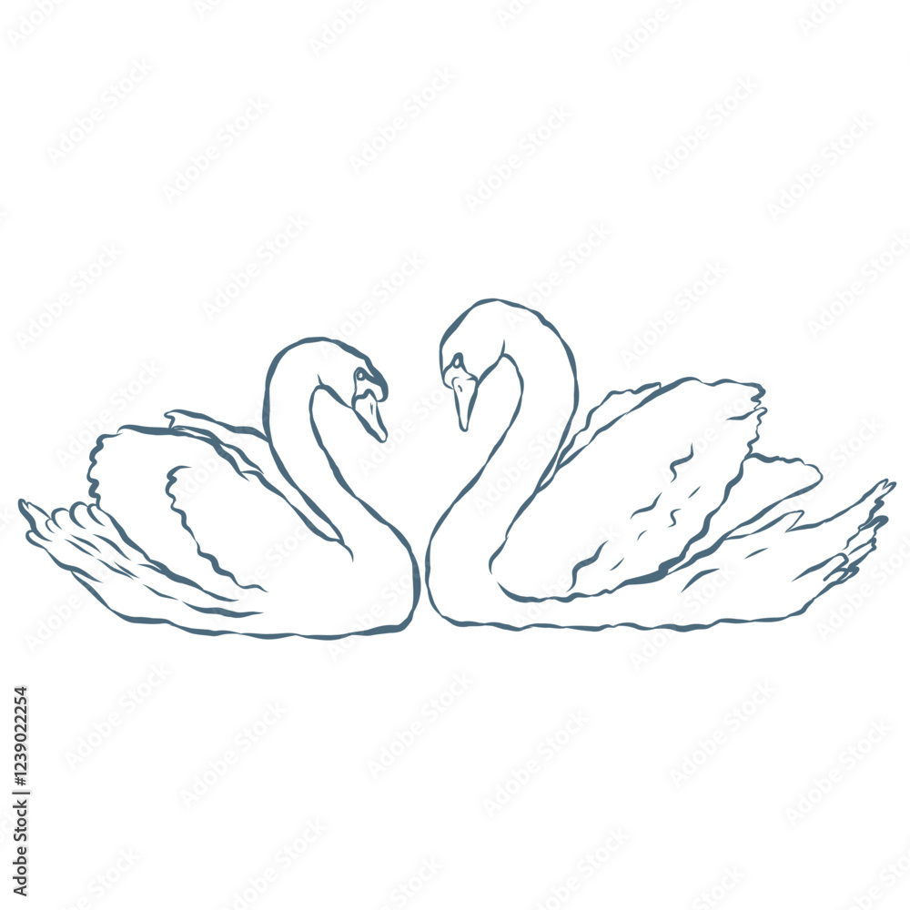 Line Art Illustration of Swanes. Vector Graphic. Line Art Illustration of Swanes. Vector Graphic.