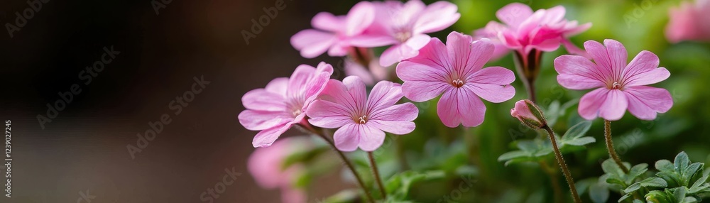 Delicate pink flowers bloom gracefully, showcasing their intricate petals and vibrant green leaves against a soft, blurred background. Delicate pink flowers bloom gracefully, showcasing their intricate petals and vibrant green leaves against a soft, blurred background.