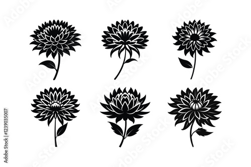 Aster (Aster spp.) flower silhouette vector illustration