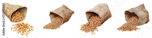 Wallpaper Mural Variety of Grain Spilling from Burlap Sacks on White Background Torontodigital.ca