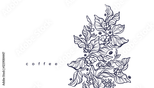 Coffee plantation. Vector branch, beans Vector art
