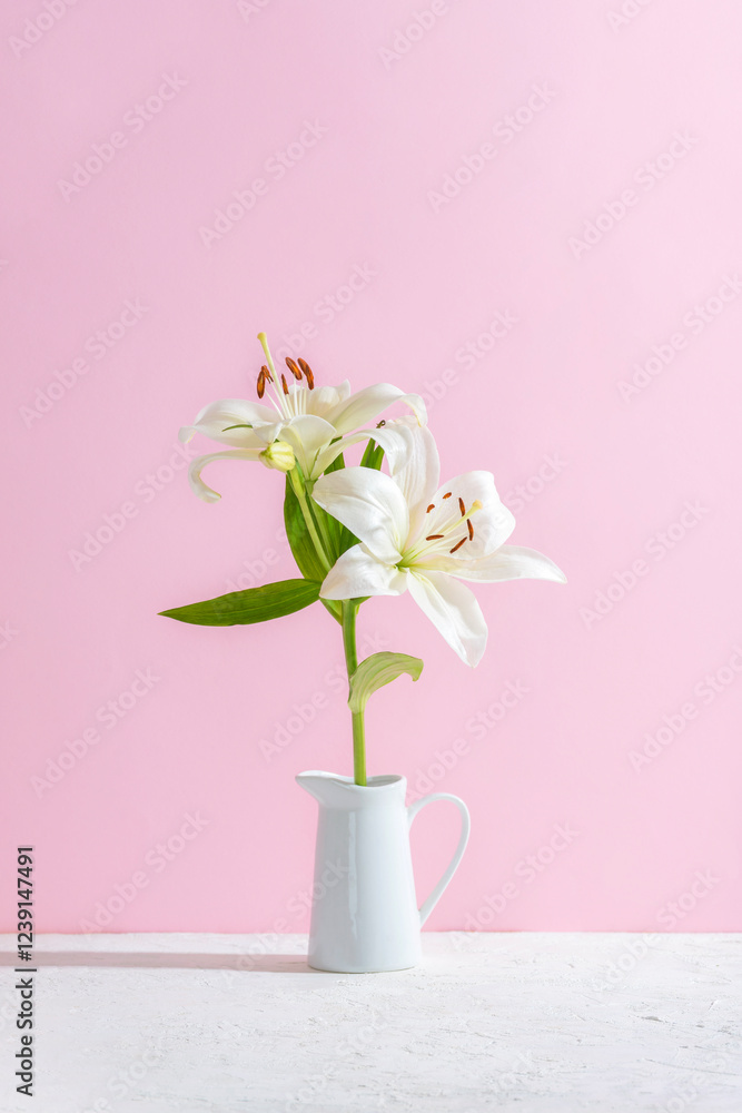 White lilies in a white vase on a pink background in sunlight, symbolizing romantic decoration. Closeup White lilies in a white vase on a pink background in sunlight, symbolizing romantic decoration. Closeup