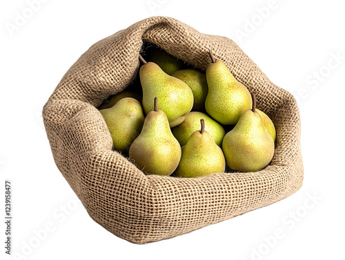 Fresh pears spilling out of a burlap sack, rustic and organic still life composition representing harvest and abundance, isolated on transparent background, PNG, cut out