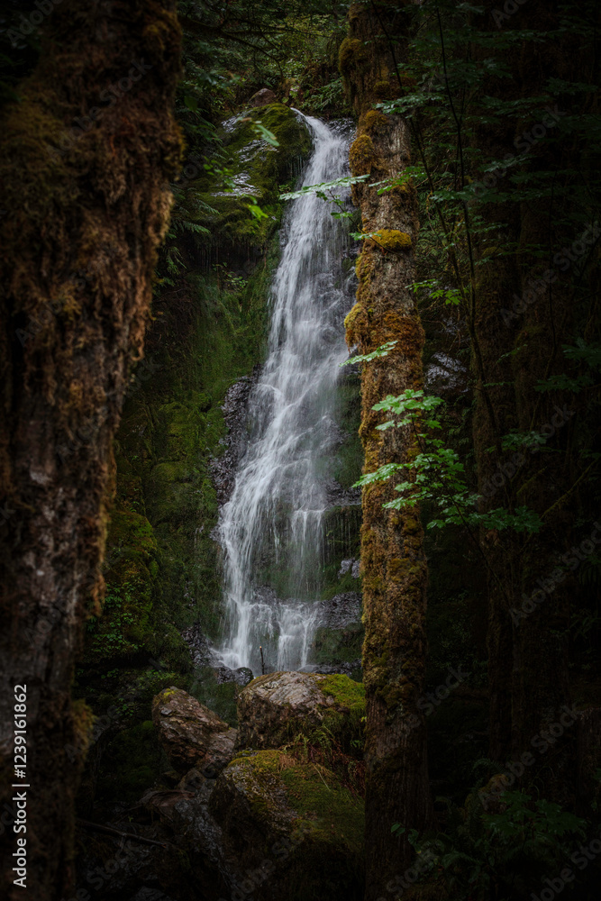 waterfall in the forest waterfall in the forest