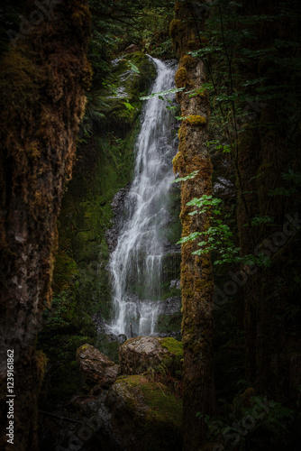waterfall in the forest