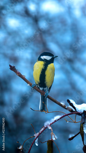 bird on a branch