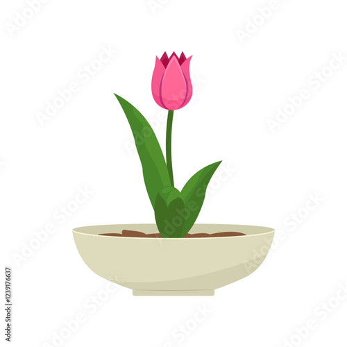 Pink tulip flower in a pot.  Flat tulip flower vector illustration