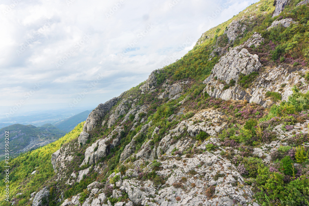 Obraz premium Forest mountain. Aerial view of rocky mountain. Tree tops from above. Sunlight on trees and shadows on rocks. Landscape of high cliff. Greenery and rugged stone formations. Trekking up the hill.