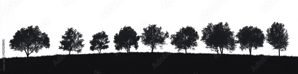 High-Resolution Silhouette of a Treeline Against a Crisp White Backdrop High-Resolution Silhouette of a Treeline Against a Crisp White Backdrop