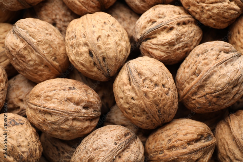 Fresh walnuts in shells as background, top view Fresh walnuts in shells as background, top view
