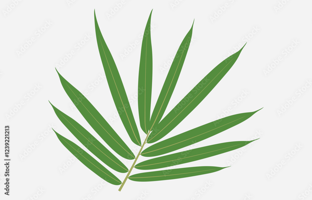 Bamboo Leaf Vector Art Illustration Isolated on white background
Bamboo Leaf Vector Art Illustration Isolated on white background