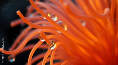 Stunning Coral-like Glass Sculpture with Water Droplets