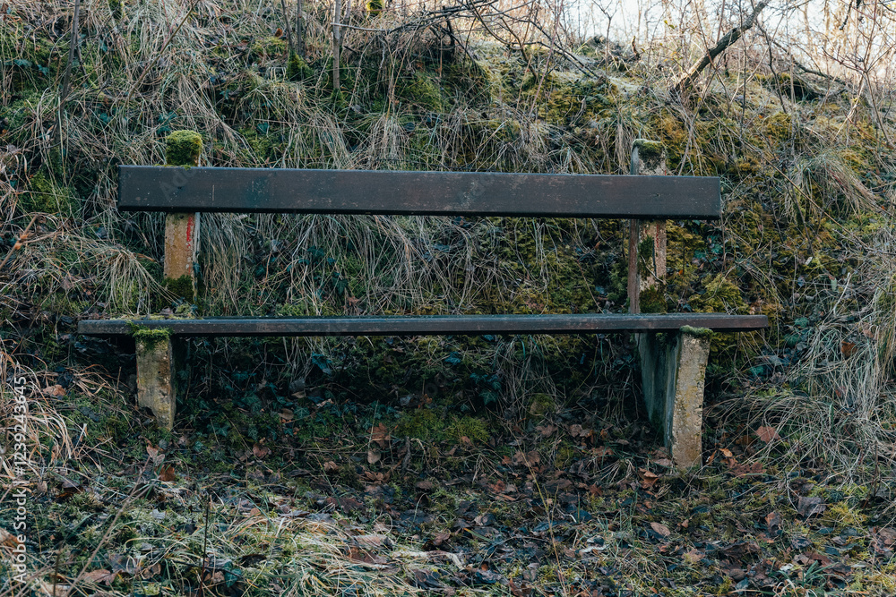 Weathered wooden bench in a secluded area surrounded by overgrown grass and earthy textures Weathered wooden bench in a secluded area surrounded by overgrown grass and earthy textures