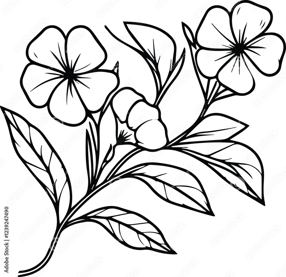 Single Line Single Line