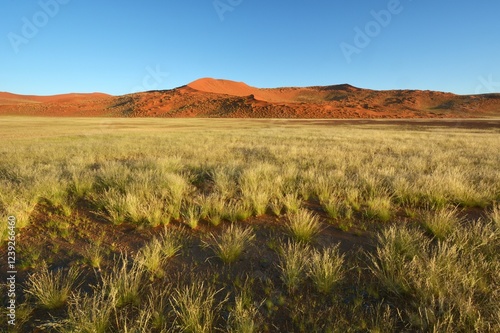 Sanddünen im Namib Naukluft Park photo