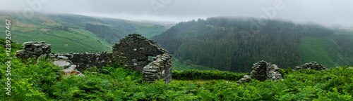 Fotografie Misty Vision