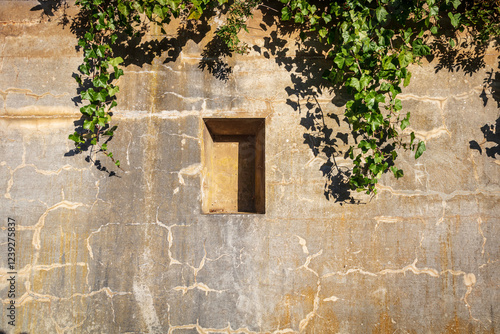 wall with embrasure and ivy