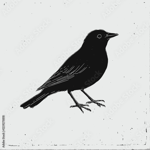 Vector lino cut print of a black thrush bird Blackbird Turdus merula icon isolated on white background. Vector illustration for nature design