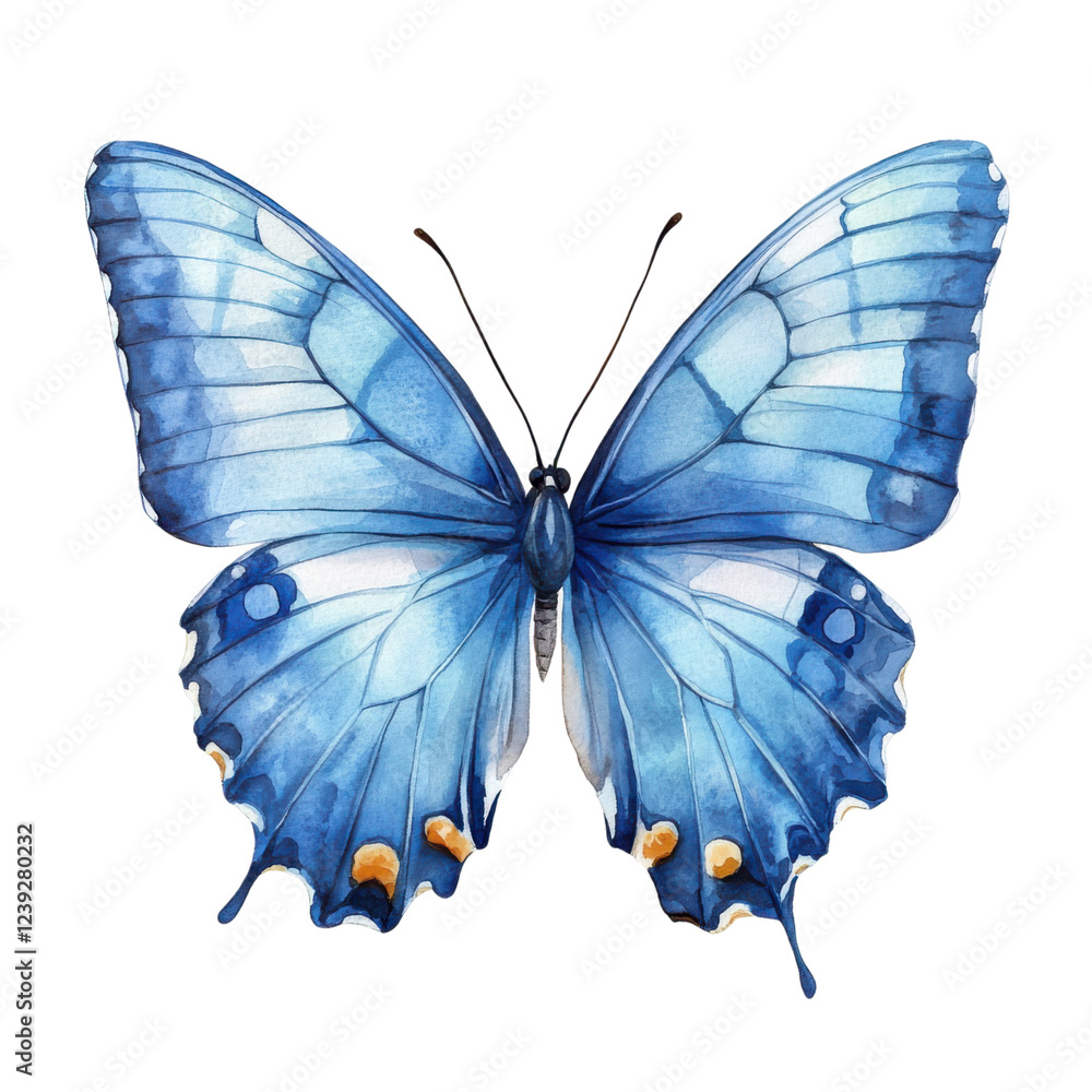 A vivid blue butterfly with intricate wing patterns and orange accents. A vivid blue butterfly with intricate wing patterns and orange accents.