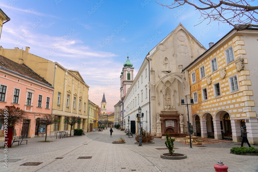 Obraz premium cityscape of Szekesfehervar Hungary downtown